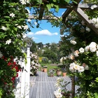 Lukuisat puutarhaportit avautuvat kävijöille sunnuntaina 20.6. klo 12- 17.