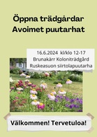 Helsinki: Ruskeasuon siirtolapuutarha