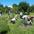 Tapahtuman yhteiseurooppalaisena teemana on 'Opitaan yhdessä puutarhassa'. Puutarhoja avataan koronantilanteen salliessa yli 20 Euroopan maassa. Kuva Helsingin Kumpulasta.