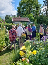 Kupittaan Rpy, Turku (kuva: Nonna Touru)