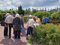 Kupittaan Rpy, Turku (kuva: Nonna Touru)
